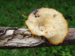 c404f5e5-4068-429b-9380-0b6f856a7166