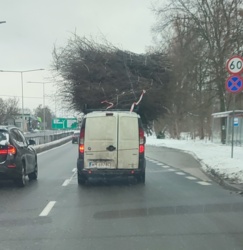 55defab6-671a-4615-8c98-d6e995972c1a