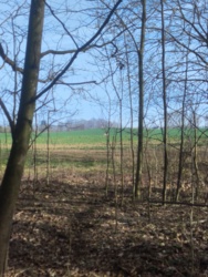 62e1f28f-9bfe-4a08-833e-2d2e94f1c36c