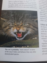 fbff176a-2343-49b1-a151-ad29efaaa8f2