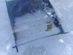 289829bc-2385-45d5-8ba3-871294f46b43