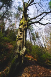 48c56b0e-abd4-4970-b7ce-78ad175eb692