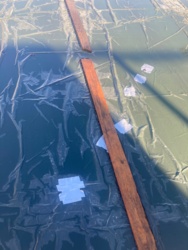 f4ca2509-4d1e-471c-89ea-ec592d510734