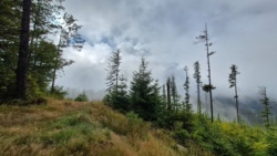 2251bcc0-5452-437e-b66e-374cf40a9f58