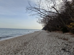 47f452f6-dd2b-499c-a801-4e15a49f986a