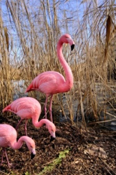 a6175b88-a474-40a6-aef4-00f25b0ebcf0