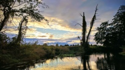 ffbd23e0-560b-47a9-a695-50da1bc1cfb6