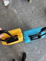 fc7530a2-f9b5-466e-84c6-abe3ee802301