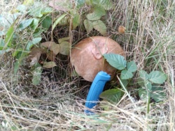 d63886f3-0259-404e-9123-8a65889cd189