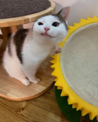 764220fb-05cf-4ec6-8ba0-d8875da33161