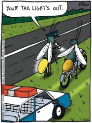 7623ec61-0985-4f42-ac44-0bf8c7a497c4