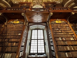 6e5aa677-7d6f-41d4-9fd5-d05b89152389