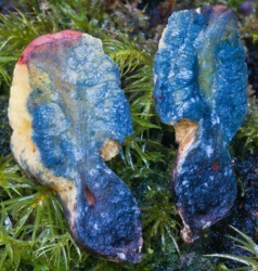 4ee4e476-353c-4eff-90e4-bb2ca0888005