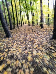 1c96b572-95a0-4676-96f5-e4443416693e