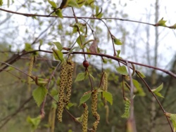 be4d90b4-a48e-4886-80c3-6aa669222242