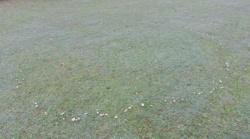 68485ed7-bdb5-498b-97d4-610e09bdd4a6