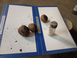 7274796e-9735-42b8-ab34-e0f35ed9dd5e