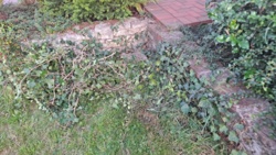 da2e66d3-d19d-4ed6-bd6f-2c9276120d01