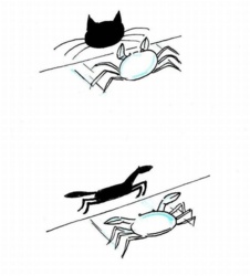 ab0db445-3bdd-4ce5-a742-cdf9c6203b72