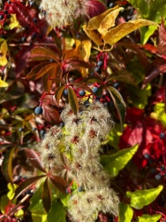 f36b5769-b525-4121-b56e-8460c941d49c