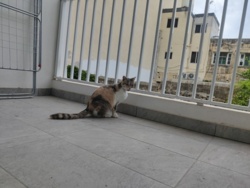 c09cc36f-446b-44ae-aca5-cf97121ae592