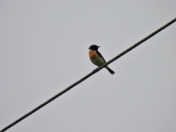 b7c32469-d332-4a79-b16f-c19ba0795b10