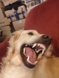 a2f03f73-8439-460b-b332-d6da1930c97a