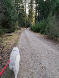 b471db51-2d50-4262-9436-e8eb0ca9383e