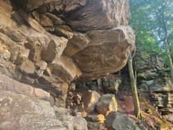 7c3c6ac7-c305-4ae0-8ace-197448300990