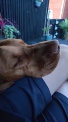 8dfe201e-b9fc-4d15-9ead-b7e2d1170972