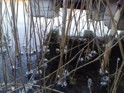 f70220ab-38ed-47b5-93f9-43dab373ee74