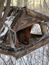 74f2d9eb-79a8-416b-bc59-f55a2cd779ff