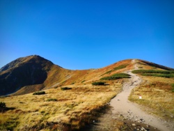 e77c9f34-3aee-43be-85dc-16e3907d1874