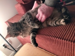 a889c03d-3fdd-4740-ace4-e63a5a294974