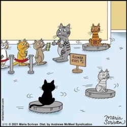 3fd4d385-bd42-498b-aa5c-ab1dcd46bda5