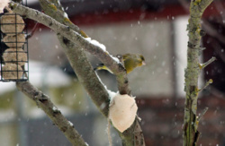 c1f2e6af-5ee0-4075-bf6b-282a8104fa01