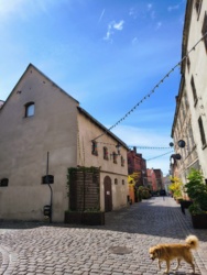 c4ac2dfe-b44b-4cd6-98ee-1ec10ef0a0fd