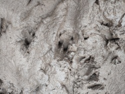 e2176b33-adb4-46a1-91fa-267a6de604b2