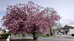 cb1772c8-78e7-40c0-b46d-87255b53632e