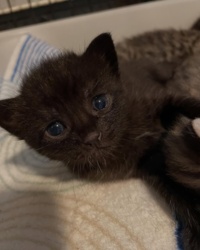 802f2f03-a3a2-408b-9d41-77a880a169eb