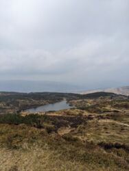 4a6a8f36-f88f-459a-b866-50bdb5bab278