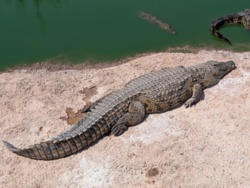 b1613589-7dba-4360-8d97-b958c0a44b31