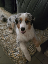 04bb9bd7-91a7-417e-9f3c-2f97ecf4d7a2