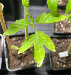 2d072517-e0d5-4f87-9807-869ab517843e