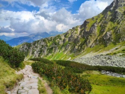 1ccf2514-331e-4364-9223-eca5ff129fe7