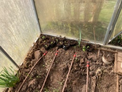 ef14555f-046a-4f92-8a8a-a93fa686dddf