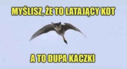 916f66d7-520b-4dd2-b296-a7d78dbc0640