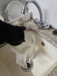 9a106b36-8d7c-47e6-8efd-5304fa1ba82f