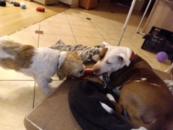 d4d3a7fd-fab3-41fe-9396-c243c4a9496e