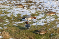 94d5b85d-9c1b-4557-96ae-80cd951f1e48